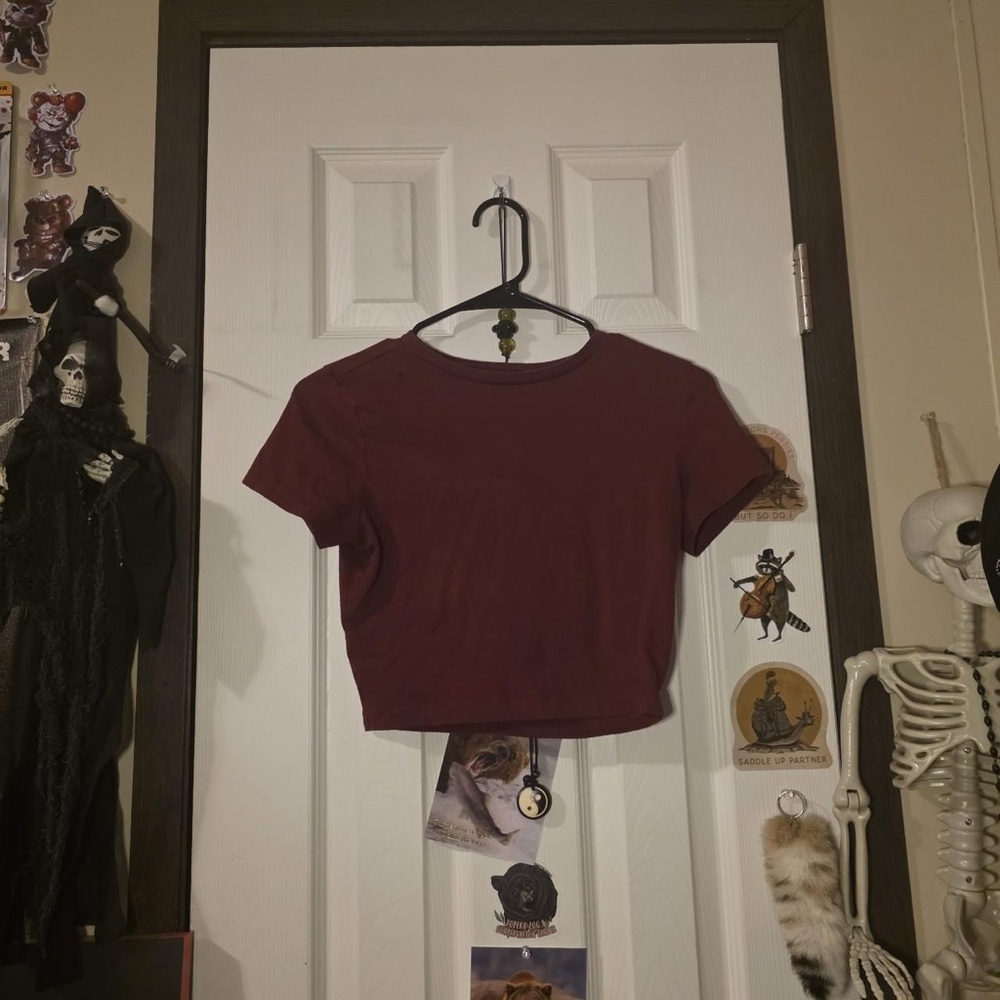 wild fable Maroon Short Sleeve Crop Top